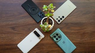 A Google Pixel 8 Pro, Samsung Galaxy S24 Ultra, OnePlus 12, and Motorola Edge Plus 2023 alongside some plants